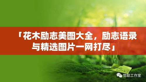 「花木励志美图大全,励志语录与精选图片一网打尽」