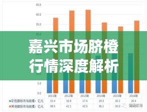 嘉兴市场脐橙行情深度解析，今日价格、销量及趋势一网打尽