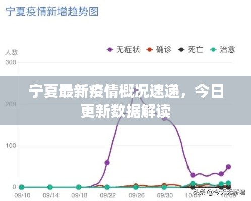 宁夏最新疫情概况速递,今日更新数据解读