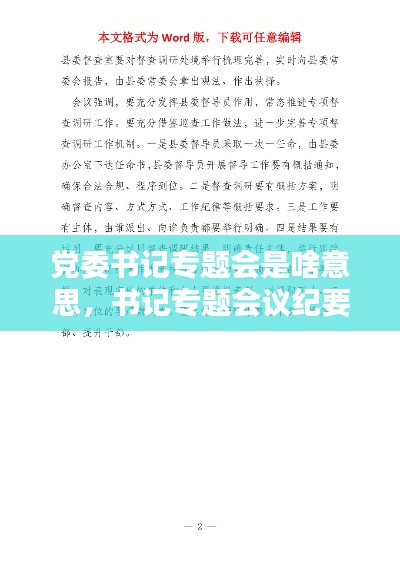 党委书记专题会是啥意思，书记专题会议纪要模板 