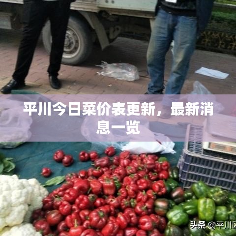 平川今日菜价表更新,最新消息一览