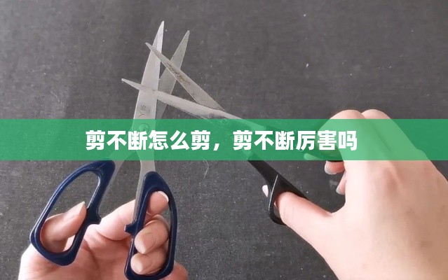 剪不断怎么剪,剪不断厉害吗
