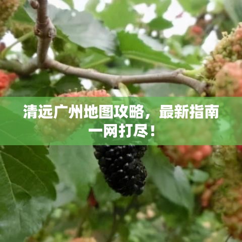 清远广州地图攻略,最新指南一网打尽!