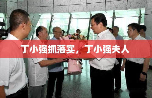 丁小强抓落实,丁小强夫人