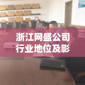 浙江网盛公司行业地位及影响力不容小觑,揭秘其排名与实力