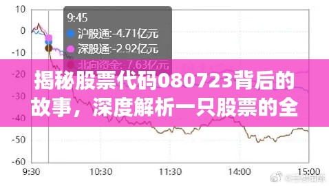 揭秘股票代码080723背后的故事,深度解析一只股票的全面信息