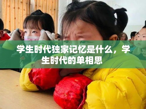 炊粱跨卫 第2页