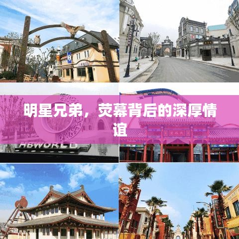 明星兄弟，荧幕背后的深厚情谊