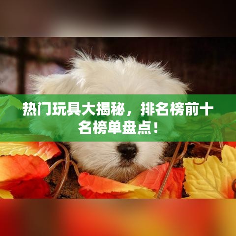热门玩具大揭秘，排名榜前十名榜单盘点！