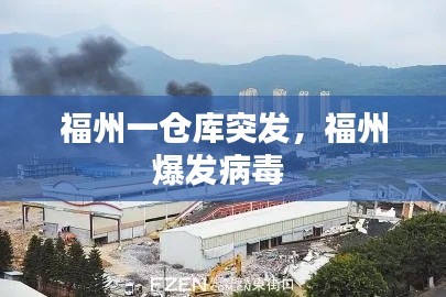 福州一仓库突发,福州爆发病毒
