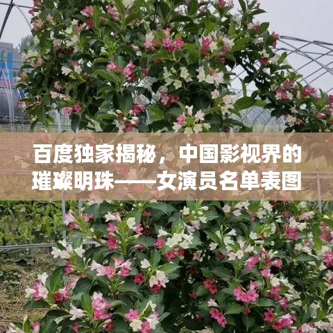 百度独家揭秘,中国影视界的璀璨明珠——女演员名单表图全解析