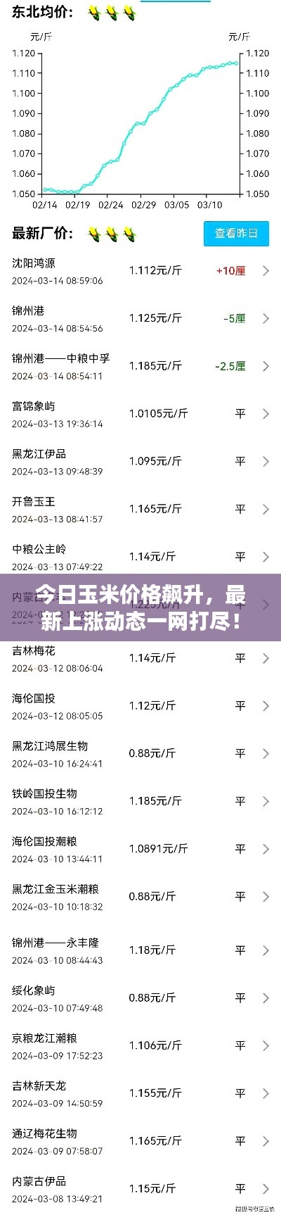 今日玉米价格飙升,最新上涨动态一网打尽!