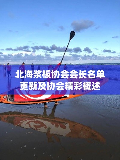 北海浆板协会会长名单更新及协会精彩概述