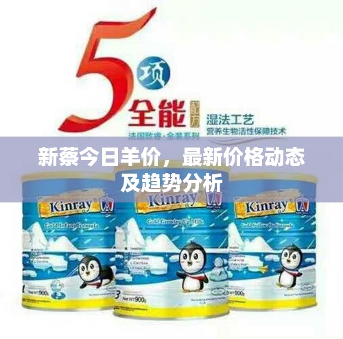 新蔡今日羊价,最新价格动态及趋势分析