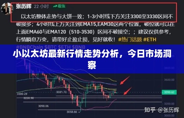 杳无音讯 第2页