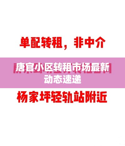 唐官小区转租市场最新动态速递