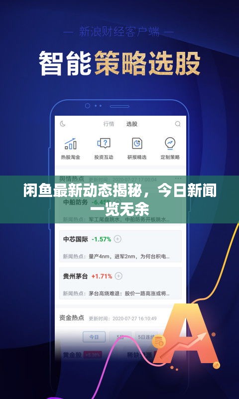 闲鱼最新动态揭秘,今日新闻一览无余