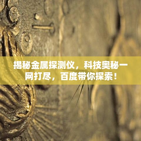 揭秘金属探测仪,科技奥秘一网打尽,百度带你探索!